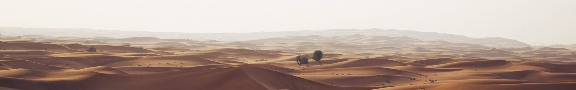 -ѹܼ޹˾